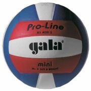 GALA Pro Line Mini Volleyball- Größe 4. GALA Pro Line Mini Volleyball- Größe 4.