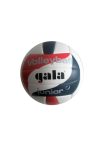 Gala JUNIOR Volleyball- Übungs- und Trainingsball