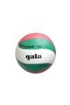 Gala Training Volleyball, Leichtball, Gewicht: 210 g