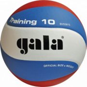 Gala Training 10 Volleyball Gala Training 10 Volleyball