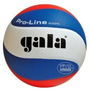GALA BV 5591 S Pro Line Volleyball- mit TACTIC SPORT Logo versehen.Offzieller Wettkampfball der Nationalmeisterschaften in der 1. und 2. Klassen. GALA BV 5591 S Pro Line Volleyball- mit TACTIC SPORT Logo versehen.Offzieller Wettkampfball der Nationalmeisterschaften in der 1. und 2. Klassen.