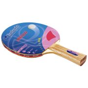 Garlando Arrow ** Tischtennisschläger für Freizeit Garlando Arrow ** Tischtennisschläger für Freizeit