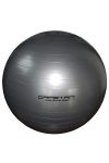 Capetan® silberfarbener 75 cm Durchm. „Anti-Burst” explosionsgeschützter Gymnastikball