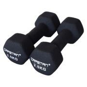 Capetan® Professional Line 2x2,5 kg ein Paar Einhandhanteln mit Neoprenüberzug – Neoprenhanteln Capetan® Professional Line 2x2,5 kg ein Paar Einhandhanteln mit Neoprenüberzug – Neoprenhanteln